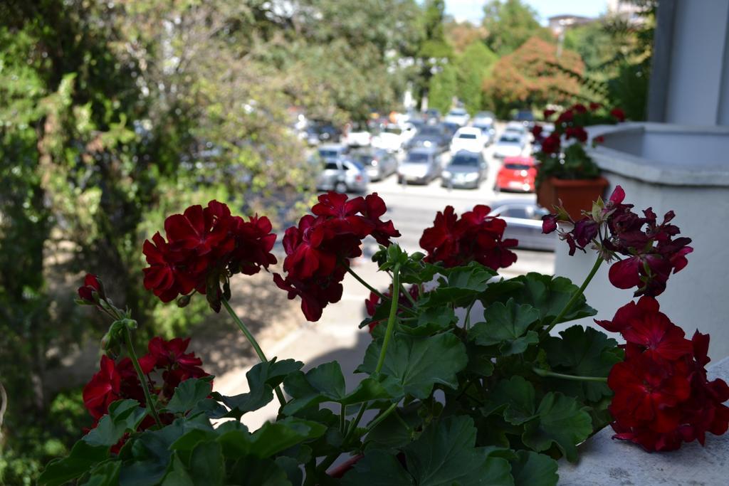 Casa De Oaspeti Sfantul Nicolae Ιάσιο Εξωτερικό φωτογραφία